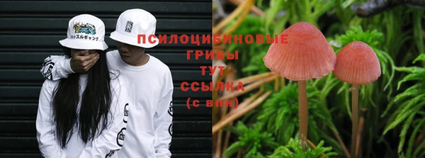apvp Абинск