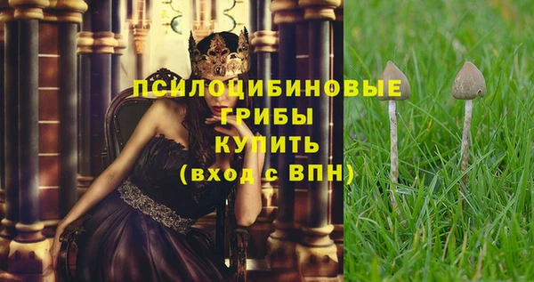 стафф Бабаево